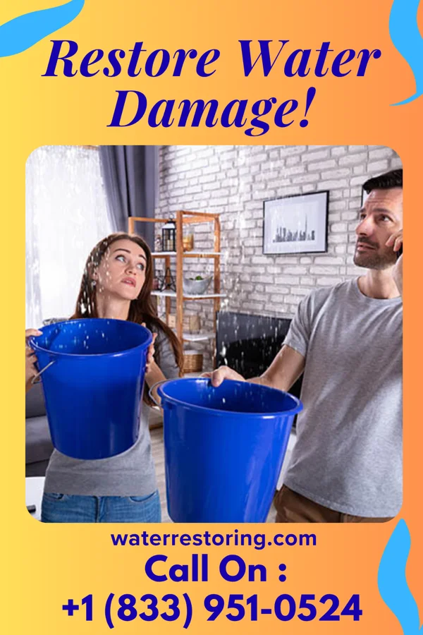 water restoration Vigilant Damage Recovery Specialists Woodlawn