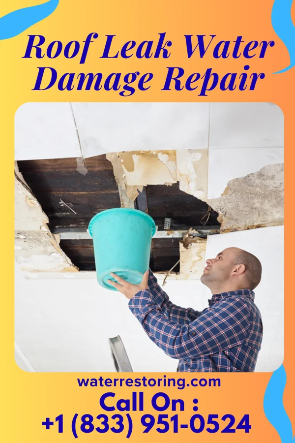 Roof Leak Water Damage Repair in Woodlawn, IL